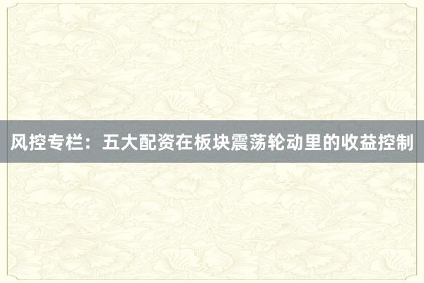 风控专栏：五大配资在板块震荡轮动里的收益控制