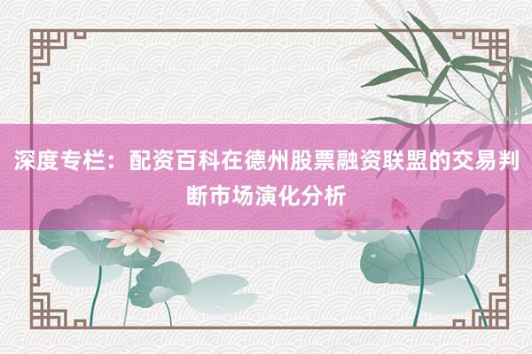 深度专栏：配资百科在德州股票融资联盟的交易判断市场演化分析