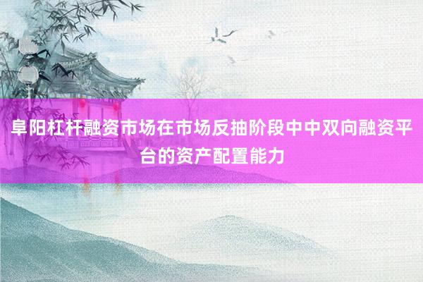 阜阳杠杆融资市场在市场反抽阶段中中双向融资平台的资产配置能力