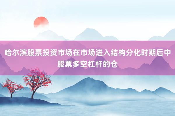哈尔滨股票投资市场在市场进入结构分化时期后中股票多空杠杆的仓