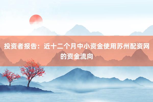 投资者报告：近十二个月中小资金使用苏州配资网的资金流向