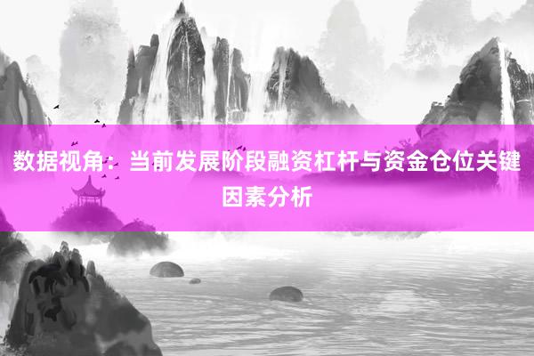 数据视角：当前发展阶段融资杠杆与资金仓位关键因素分析