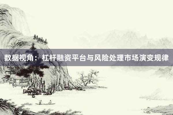 数据视角：杠杆融资平台与风险处理市场演变规律