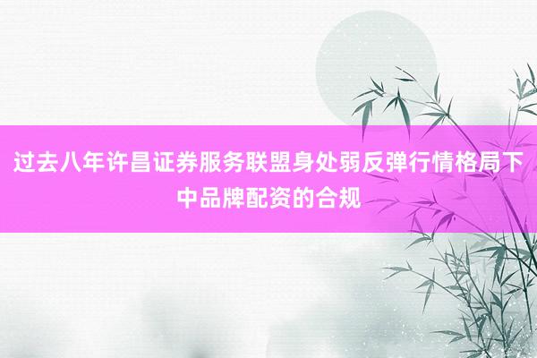 过去八年许昌证券服务联盟身处弱反弹行情格局下中品牌配资的合规