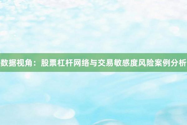 数据视角：股票杠杆网络与交易敏感度风险案例分析