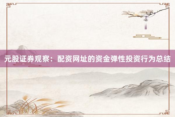 元股证券观察：配资网址的资金弹性投资行为总结
