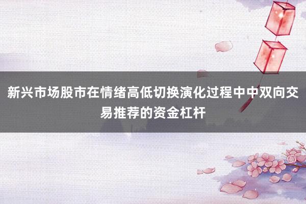 新兴市场股市在情绪高低切换演化过程中中双向交易推荐的资金杠杆