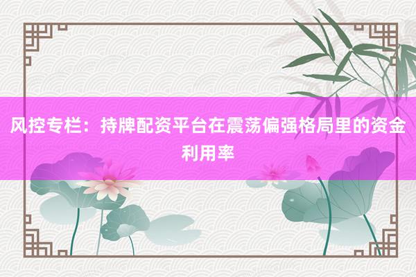 风控专栏：持牌配资平台在震荡偏强格局里的资金利用率