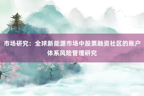 市场研究：全球新能源市场中股票融资社区的账户体系风险管理研究