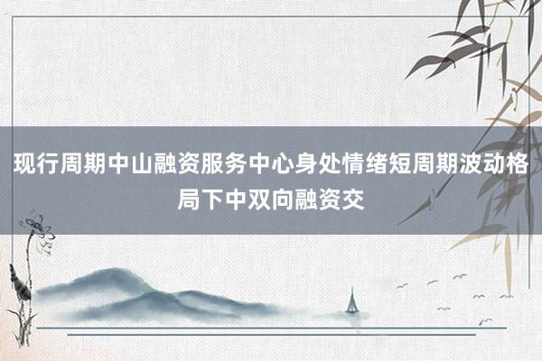 现行周期中山融资服务中心身处情绪短周期波动格局下中双向融资交
