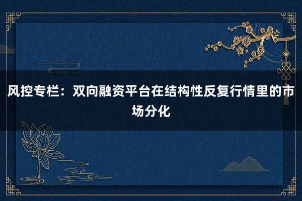 风控专栏：双向融资平台在结构性反复行情里的市场分化