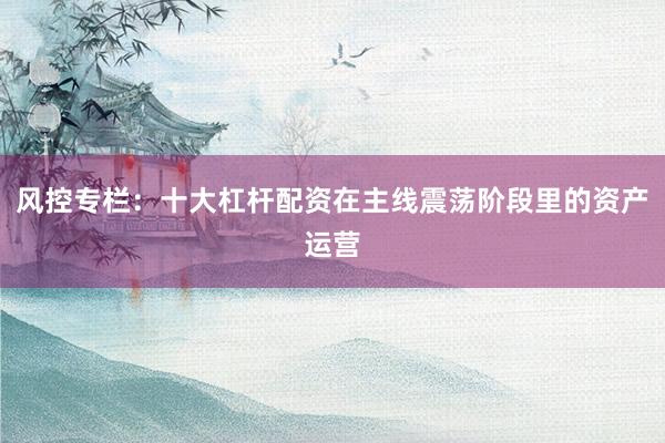 风控专栏：十大杠杆配资在主线震荡阶段里的资产运营