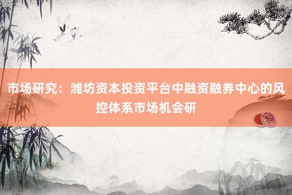 市场研究：潍坊资本投资平台中融资融券中心的风控体系市场机会研