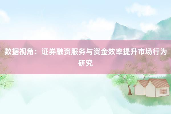 数据视角：证券融资服务与资金效率提升市场行为研究