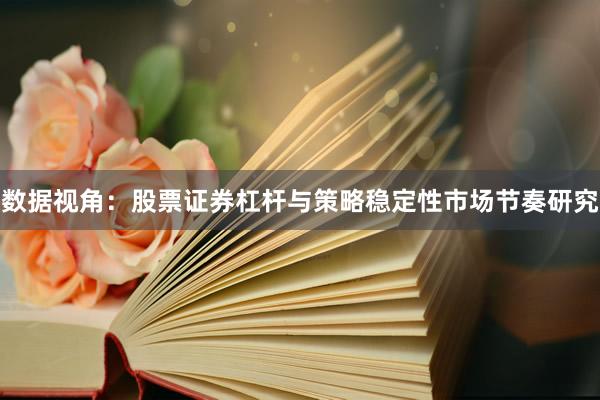 数据视角：股票证券杠杆与策略稳定性市场节奏研究