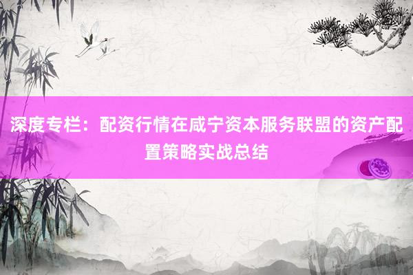 深度专栏：配资行情在咸宁资本服务联盟的资产配置策略实战总结