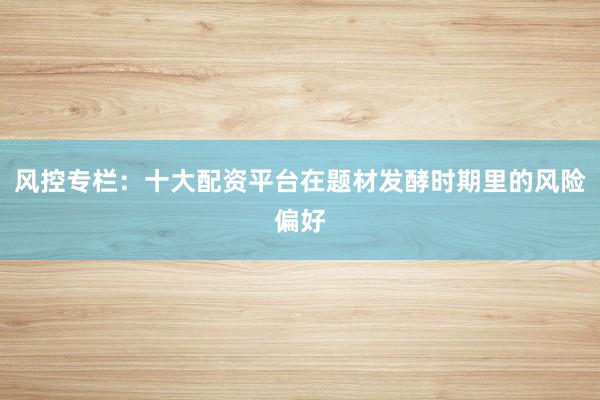 风控专栏：十大配资平台在题材发酵时期里的风险偏好