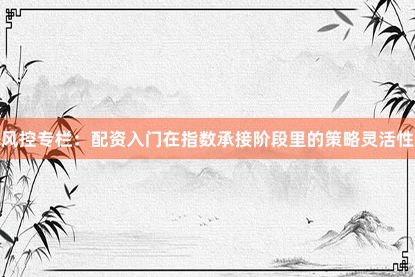 风控专栏：配资入门在指数承接阶段里的策略灵活性