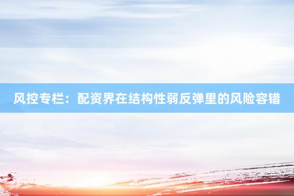 风控专栏：配资界在结构性弱反弹里的风险容错