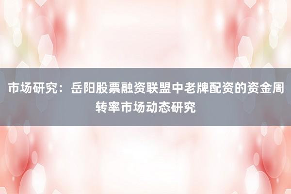 市场研究：岳阳股票融资联盟中老牌配资的资金周转率市场动态研究