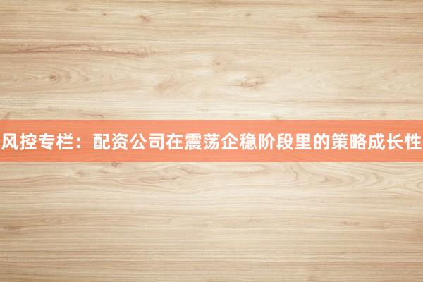 风控专栏：配资公司在震荡企稳阶段里的策略成长性