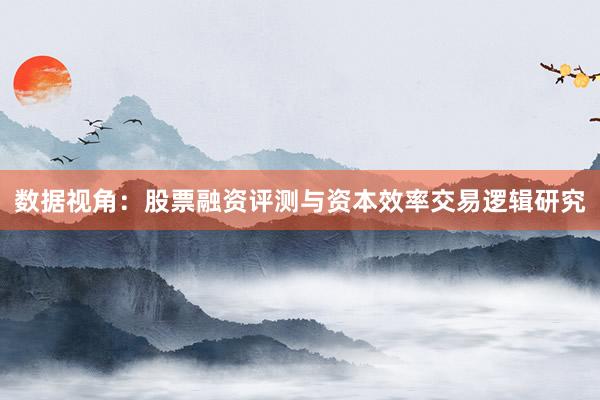 数据视角：股票融资评测与资本效率交易逻辑研究