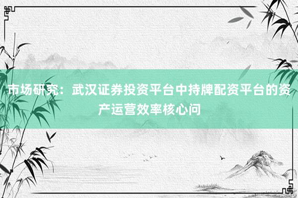 市场研究：武汉证券投资平台中持牌配资平台的资产运营效率核心问