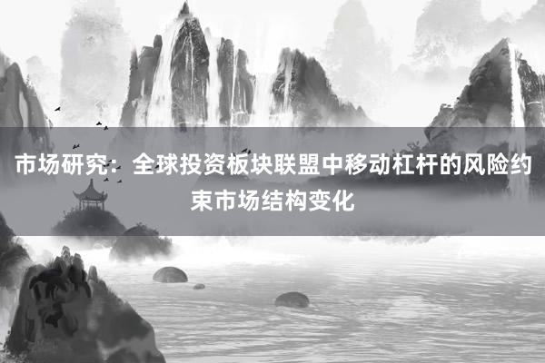 市场研究：全球投资板块联盟中移动杠杆的风险约束市场结构变化