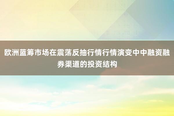 欧洲蓝筹市场在震荡反抽行情行情演变中中融资融券渠道的投资结构