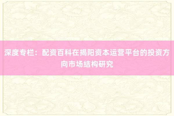 深度专栏：配资百科在揭阳资本运营平台的投资方向市场结构研究