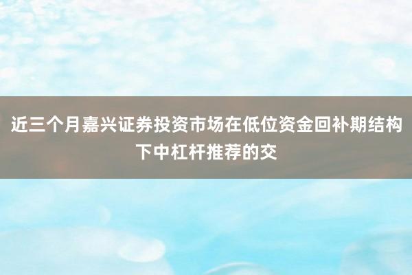 近三个月嘉兴证券投资市场在低位资金回补期结构下中杠杆推荐的交