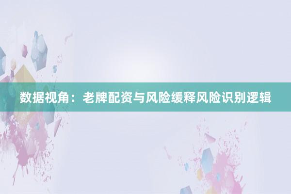 数据视角：老牌配资与风险缓释风险识别逻辑