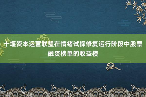十堰资本运营联盟在情绪试探修复运行阶段中股票融资榜单的收益模