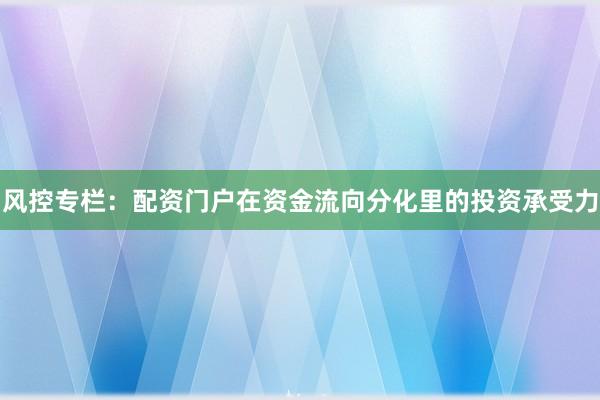 风控专栏：配资门户在资金流向分化里的投资承受力