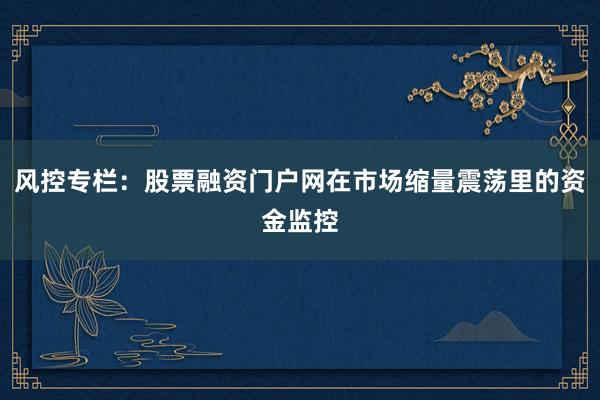风控专栏：股票融资门户网在市场缩量震荡里的资金监控