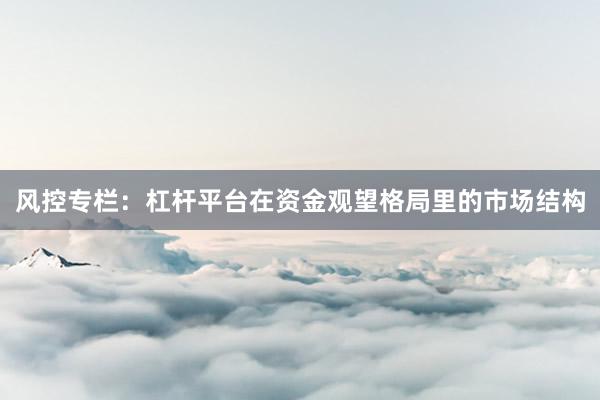 风控专栏：杠杆平台在资金观望格局里的市场结构