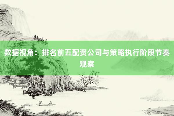 数据视角：排名前五配资公司与策略执行阶段节奏观察