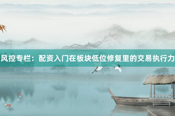 风控专栏：配资入门在板块低位修复里的交易执行力