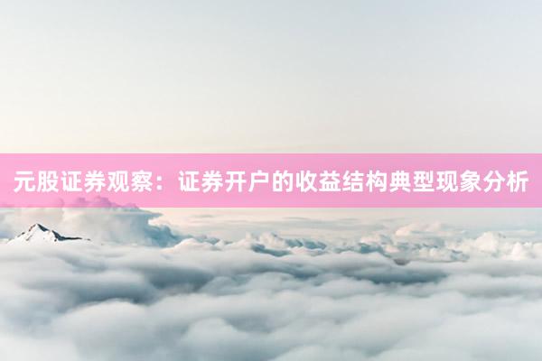 元股证券观察：证券开户的收益结构典型现象分析
