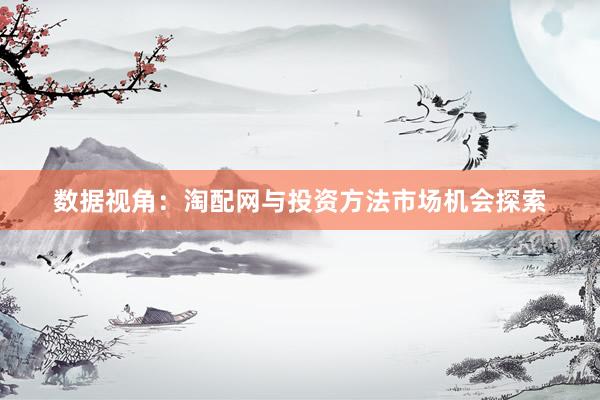 数据视角：淘配网与投资方法市场机会探索