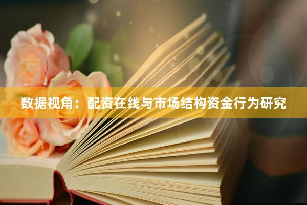 数据视角：配资在线与市场结构资金行为研究