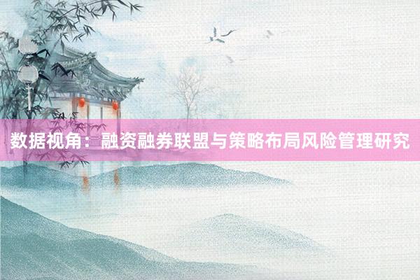 数据视角：融资融券联盟与策略布局风险管理研究