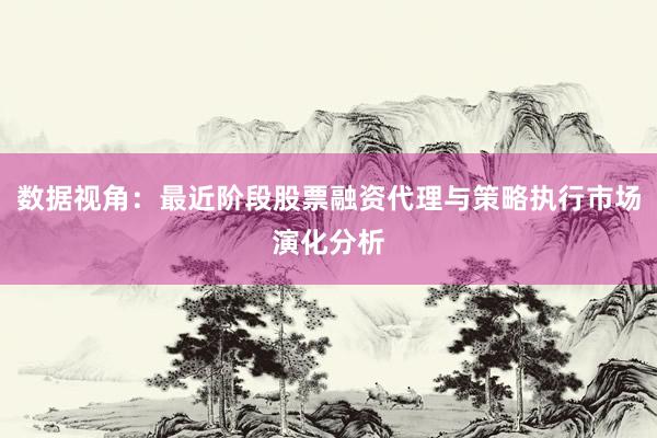 数据视角：最近阶段股票融资代理与策略执行市场演化分析