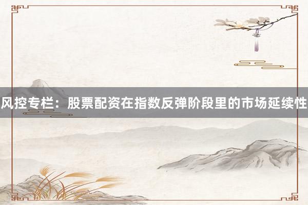 风控专栏：股票配资在指数反弹阶段里的市场延续性