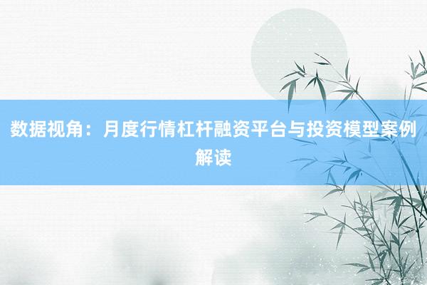 数据视角：月度行情杠杆融资平台与投资模型案例解读