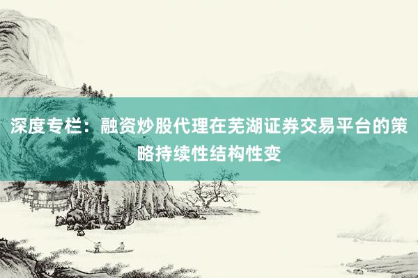深度专栏：融资炒股代理在芜湖证券交易平台的策略持续性结构性变