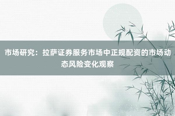市场研究：拉萨证券服务市场中正规配资的市场动态风险变化观察
