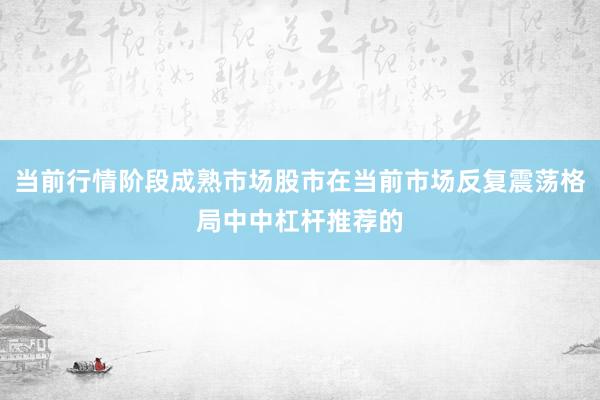 当前行情阶段成熟市场股市在当前市场反复震荡格局中中杠杆推荐的