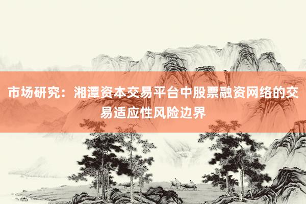 市场研究：湘潭资本交易平台中股票融资网络的交易适应性风险边界