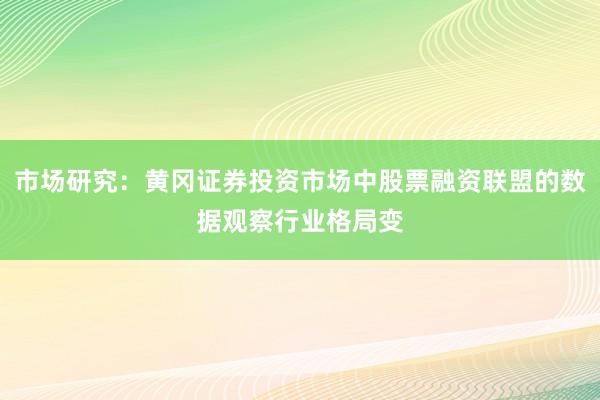 市场研究：黄冈证券投资市场中股票融资联盟的数据观察行业格局变